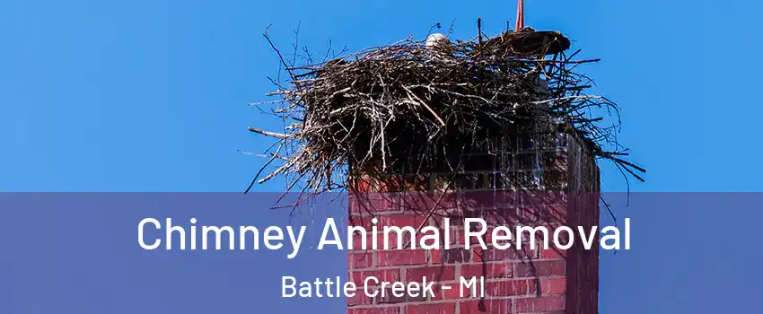 Chimney Animal Removal Battle Creek - MI
