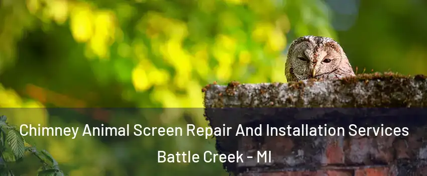  Chimney Animal Screen Repair And Installation Services Battle Creek - MI