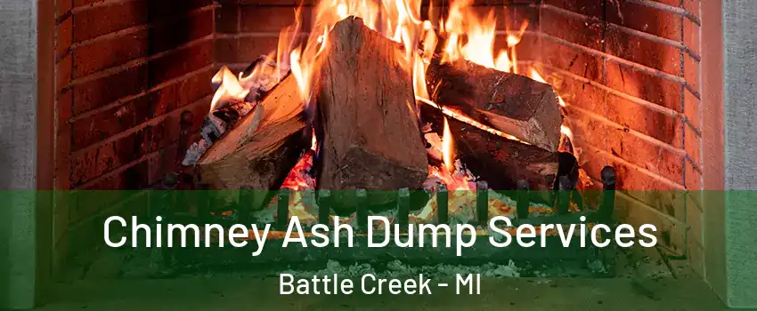  Chimney Ash Dump Services Battle Creek - MI