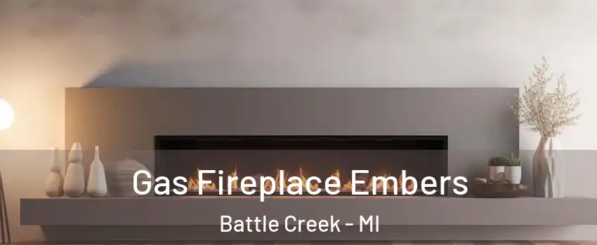  Gas Fireplace Embers Battle Creek - MI