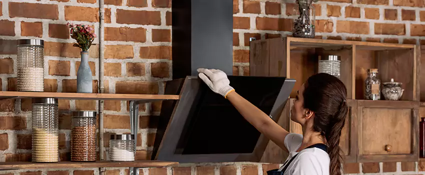 Chimney Installation in Battle Creek, MI