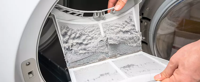Best Dryer Lint Removal Company in Battle Creek, Michigan