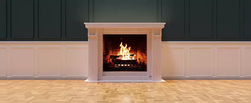 Napoleon Electric Fireplaces Inspection Service in Battle Creek, Michigan